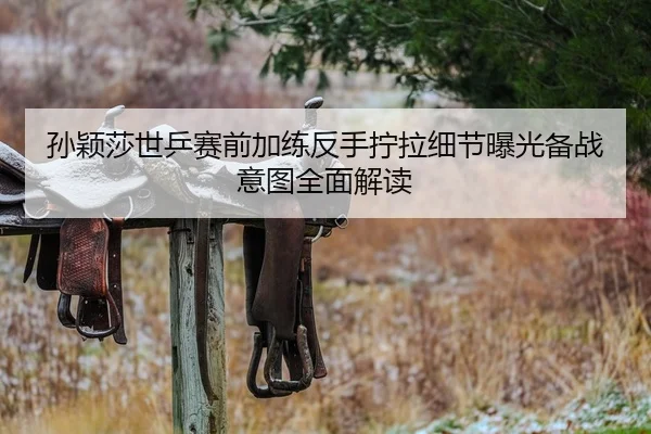 孙颖莎世乒赛前加练反手拧拉细节曝光备战意图全面解读